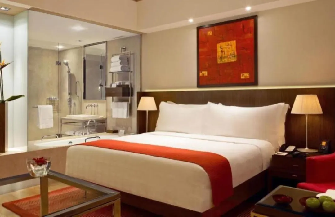 Hotel Luxury Villa Near Delhi Airport-1