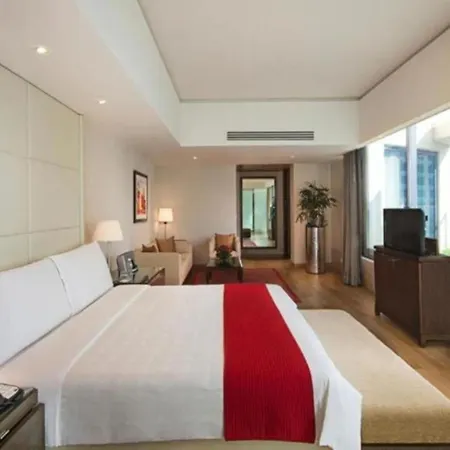Hotel Luxury Villa Near Delhi Airport-2
